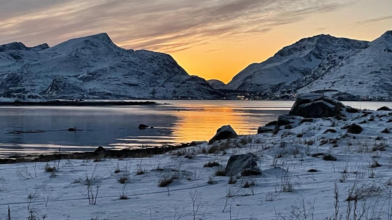 Lofoten Havfiske Semesterbostad