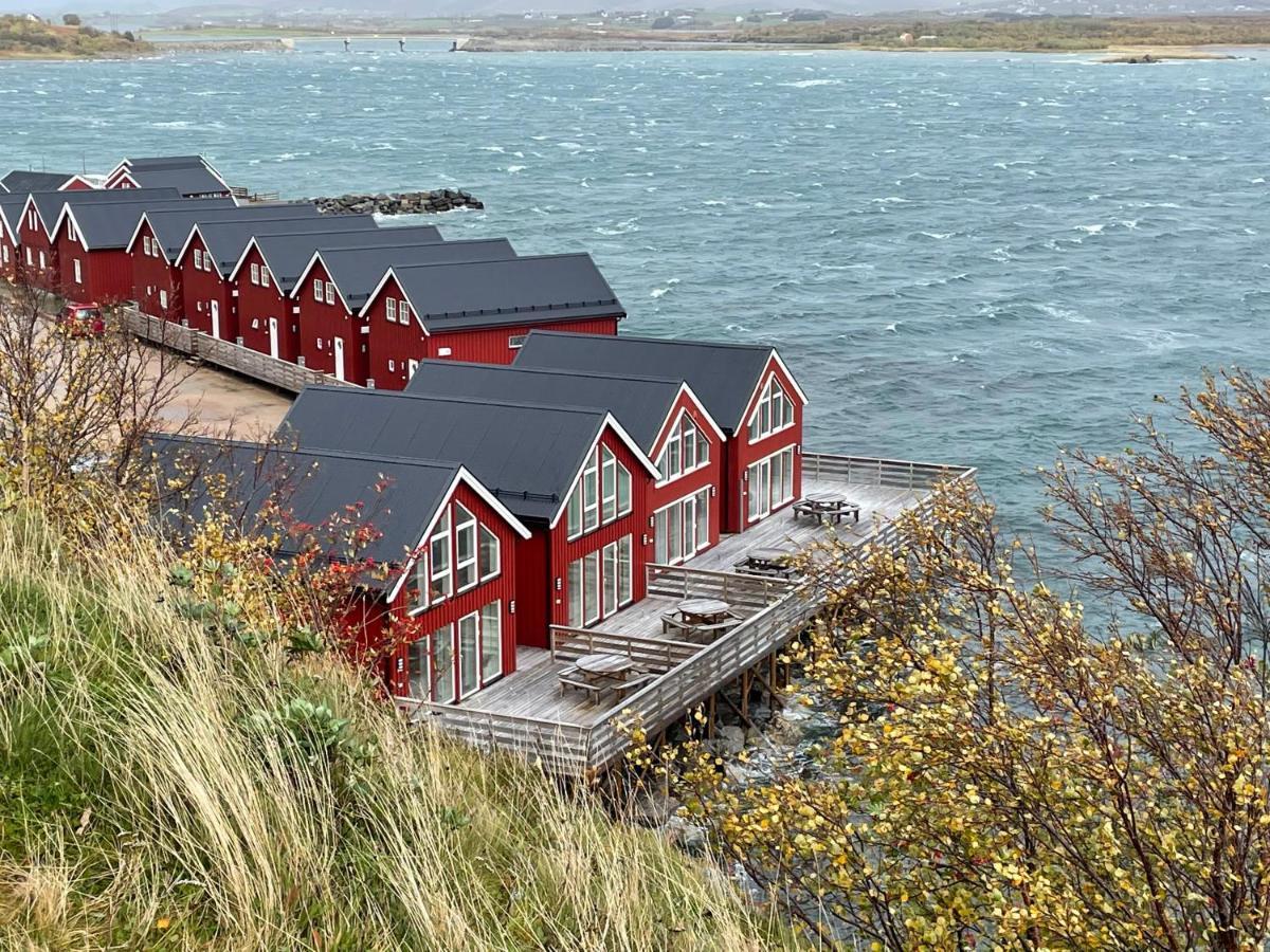 Lofoten Havfiske