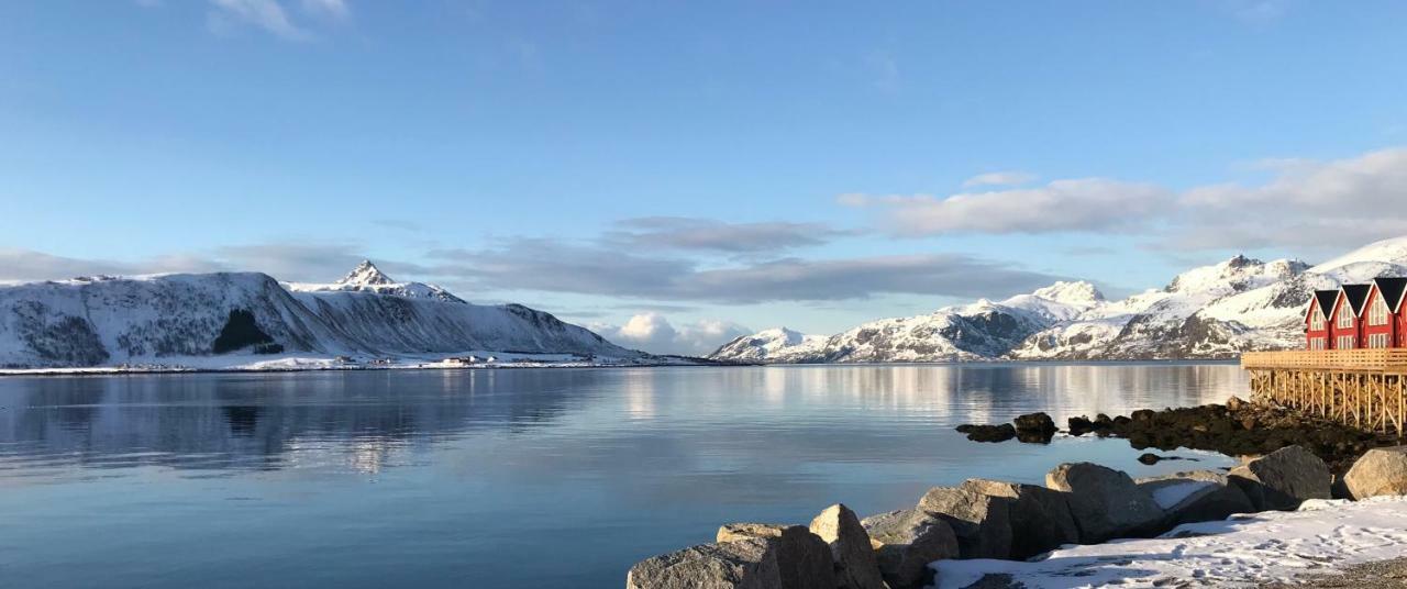 Lofoten Havfiske