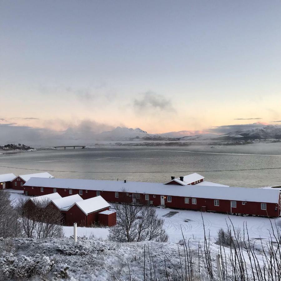 Lofoten Havfiske Hébergement de vacances *