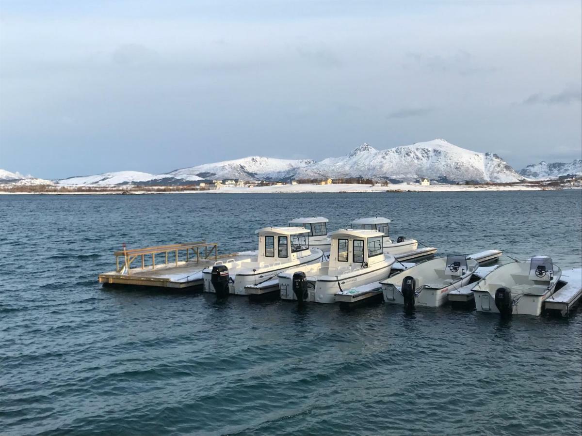 Lofoten Havfiske